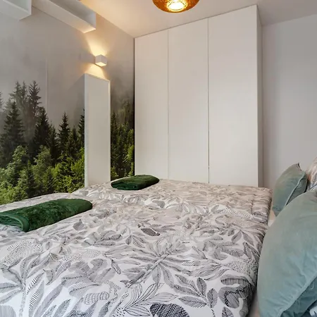 Zielona Walonska, Free Parking *