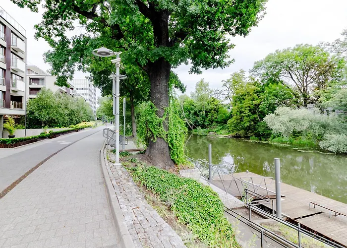 Zielona Walonska, Free Parking